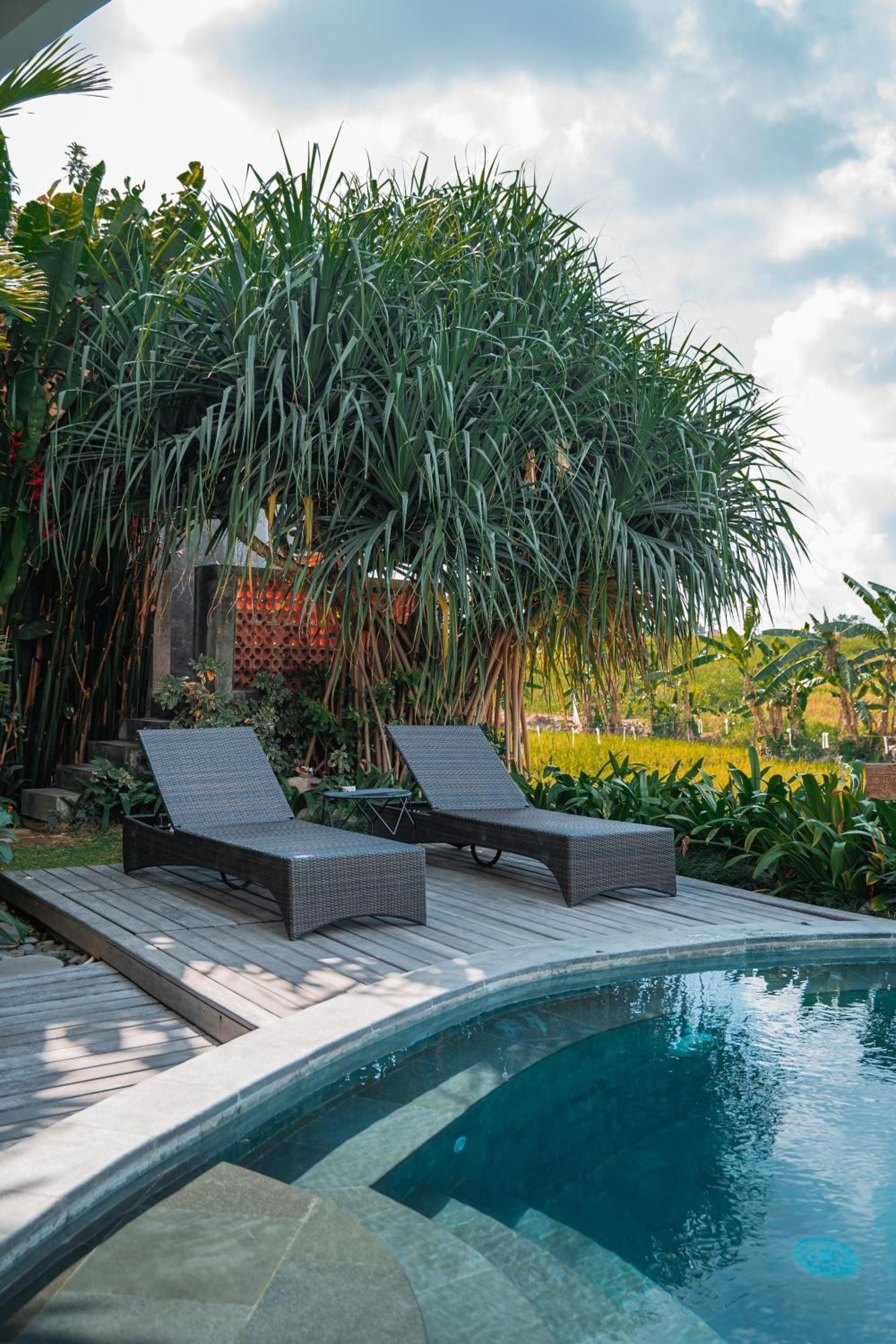 Mahalona Bali Stay Canggu Buitenkant foto
